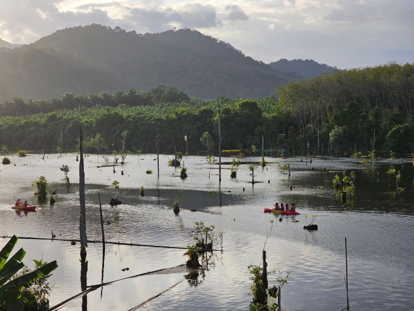 Krabi: South Kayak Klong Root Kayaking Tour - Staff, Guide Style, and the English Audio Guide