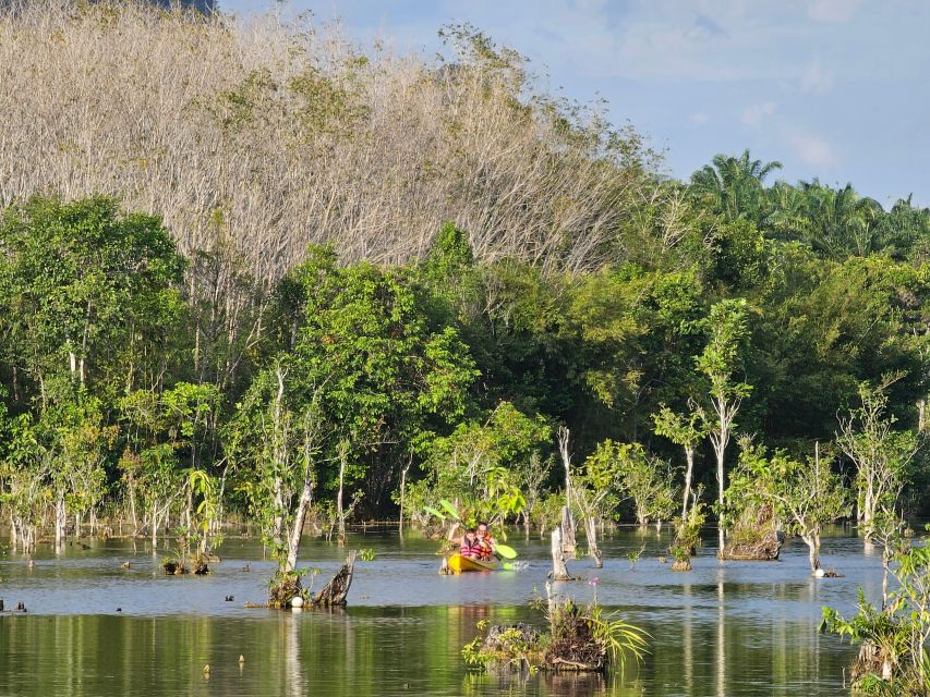 Krabi: South Kayak Klong Root Kayaking Tour - What You’ll See: The Mangrove Ecosystem in Practical Terms