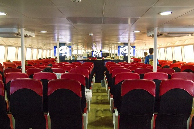 Krabi To Koh Tao(Tao Island) by Bus and Ferry - Luggage rules that can save you money