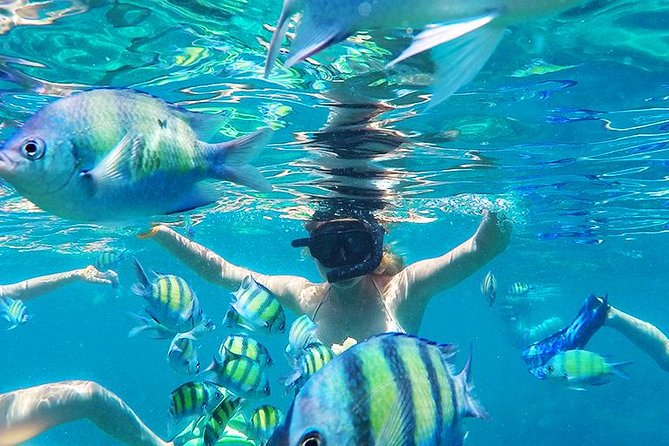 Krabi to Phi Phi Islands by Speedboat - Speedboat day trip logistics: how this plan actually feels