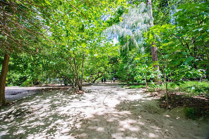 Phi Phi Island and Bamboo Island Snorkeling Tour From Krabi - Viking Cave and Pileh Bay: Short Stops That Work for Photos and Orientation