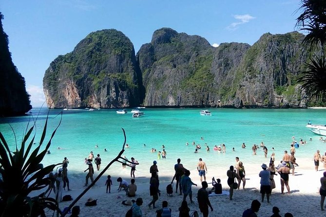 Phi Phi Island Tour by Speedboat from Krabi with Lunch (SHA Plus) - How the Day Flows: Stops That Alternate Water, Reef, and Viewpoints