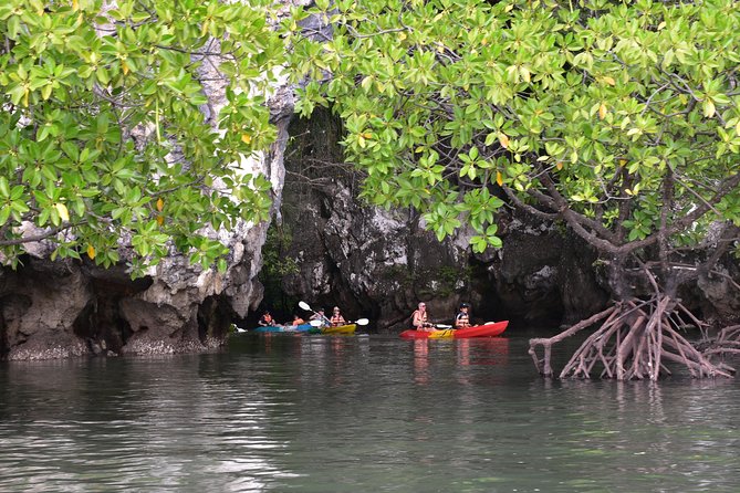 Small-Group Sea Kayaking in Ao Thalane Bay and Hong Island from Krabi - Ao Thalane and Hong Island: the day in plain English