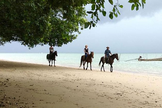 Sunset Horse Riding Tour at Ao Nam Mao Beach Krabi - What You Actually Do on the Beach (So You Can Plan Your Expectations)