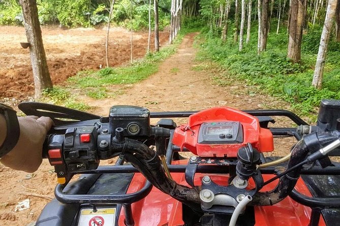 Thrilling Zipline Adventures at Thai'd Up in Krabi's Lush Jungle - Half-day Zone A + B: tree ladders and the 60-meter abseil